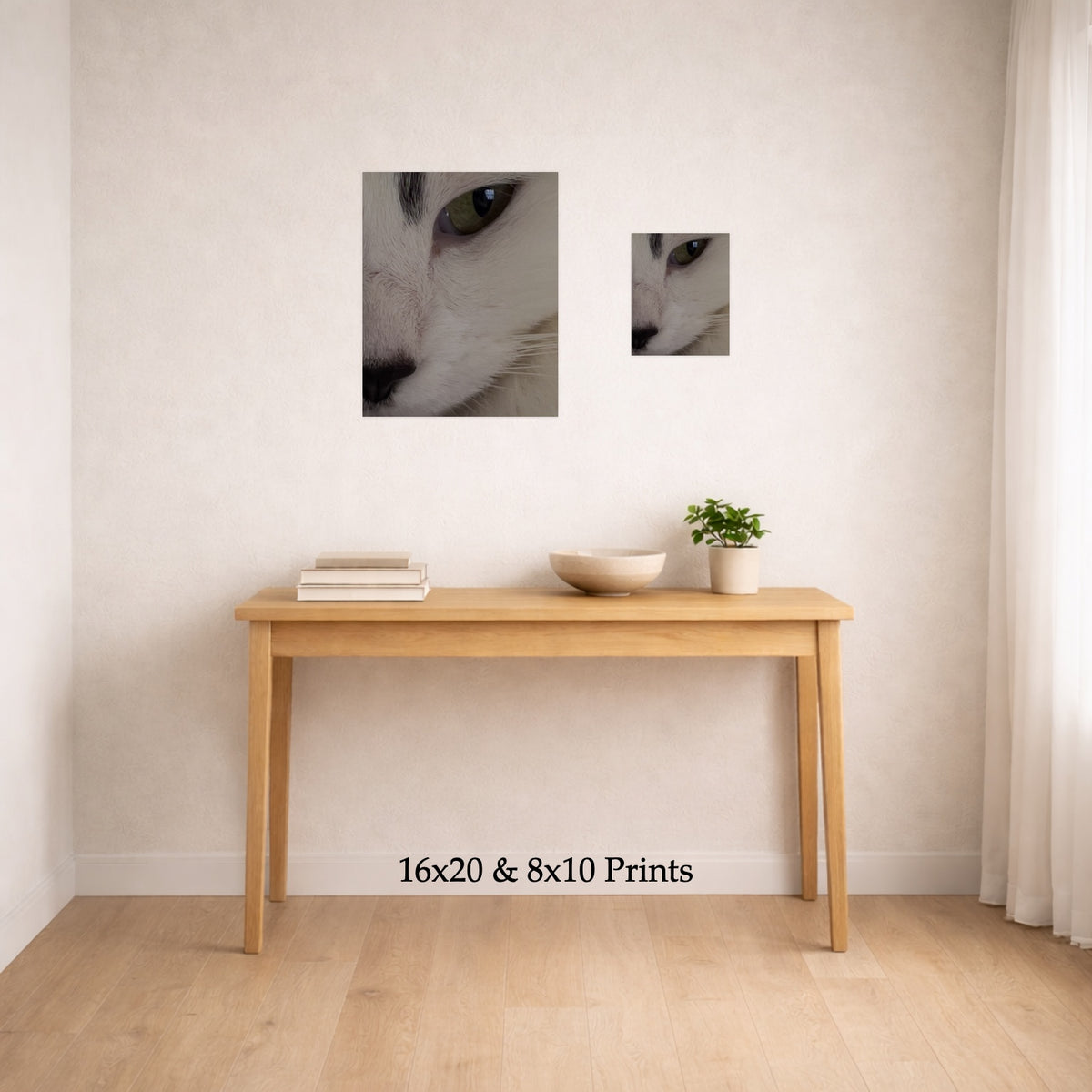 Cat’s Eye at 16x20 and 8x10 on a wall above a console table, shown to scale