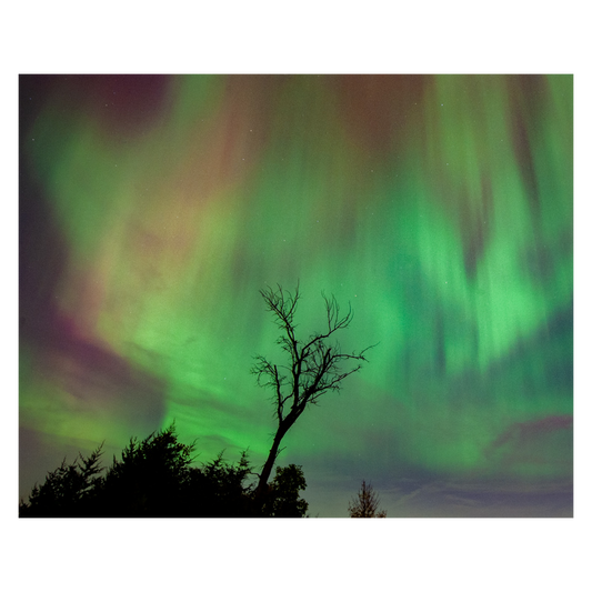 Northern Lights 2024 #2