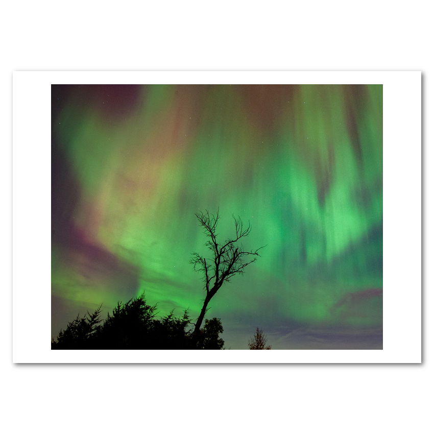Northern Lights 2024 - Mini Bundle