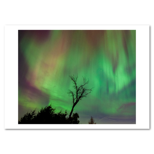 Northern Lights 2024 - Mini Bundle