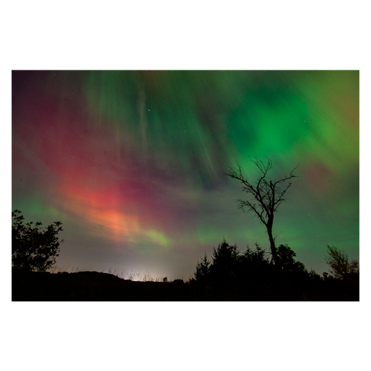 Northern Lights 2024 Photo Print