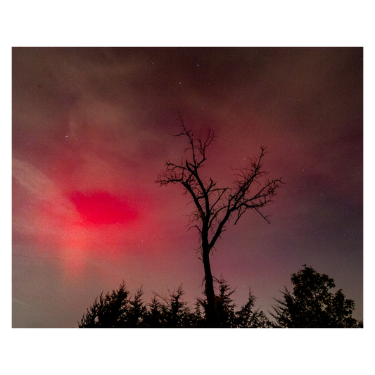Northern Lights 2024 Photo Print