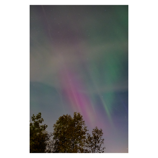 Northern Lights 2024 Photo Print