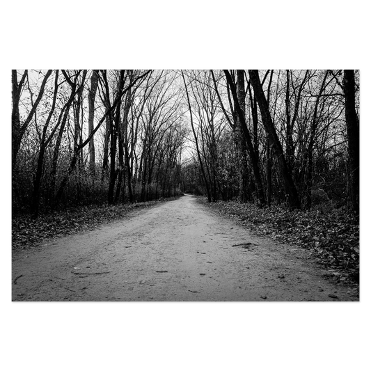 Passing Through Photo Print, mounted Fuji Lustre, printed edge to edge
