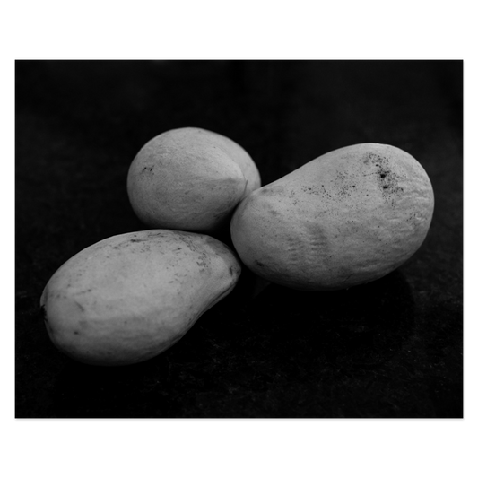 Starch Contrast Photo Print, mounted Fuji Lustre, printed edge to edge