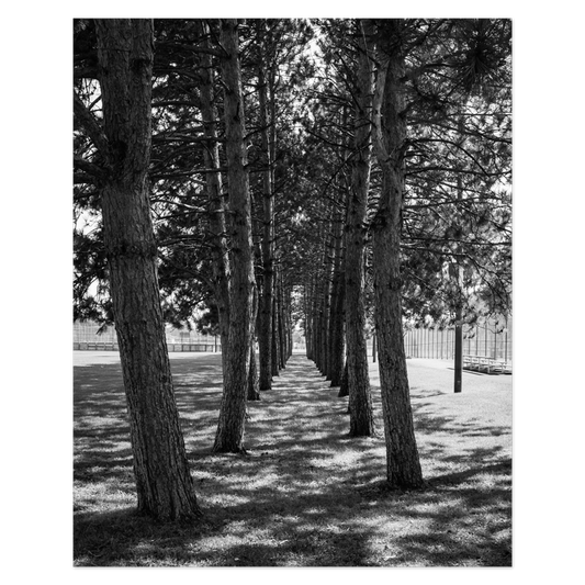 Rank And File Photo Print, mounted Fuji Lustre, printed edge to edge