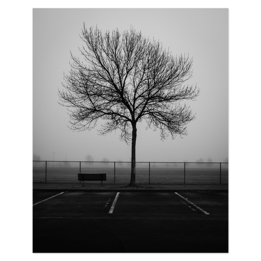 Reserved Seating Photo Print, mounted Fuji Lustre, printed edge to edge
