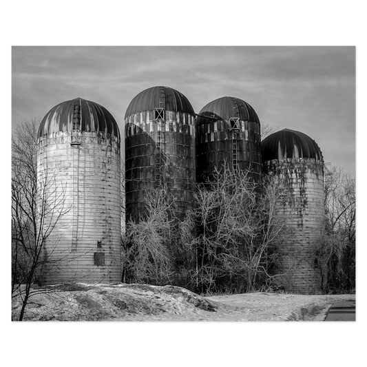 The Four Silos Photo Print, mounted Fuji Lustre, printed edge to edge