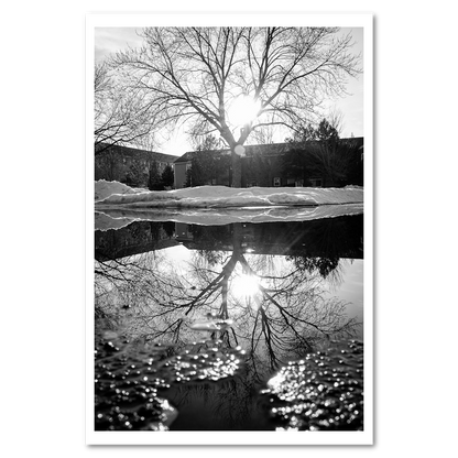 Reflected Trees No. 2 fine art photograph
