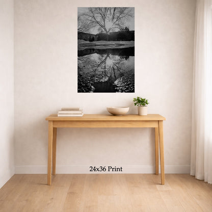 Reflected Trees No. 2 as a 24x36 print on a wall above a console table, shown to scale