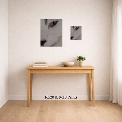 Cat’s Eye at 16x20 and 8x10 on a wall above a console table, shown to scale