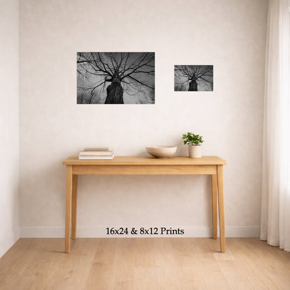 Towering Tree No. 1 at 16x24 and 8x12 on a wall above a console table, shown to scale