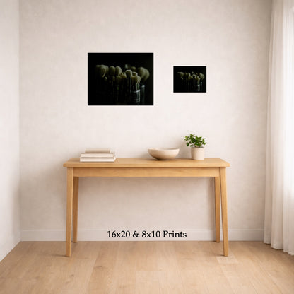 Brushes In Shadow at 16x20 and 8x10 on a wall above a console table, shown to scale
