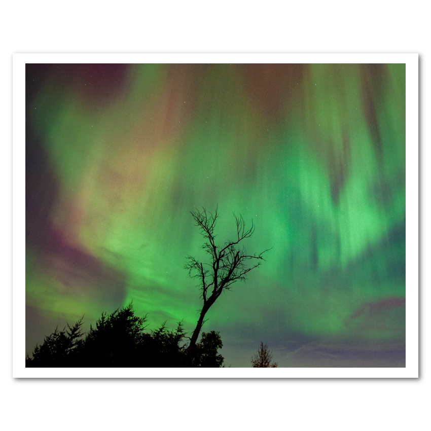 Northern Lights 2024 Fine Art Print