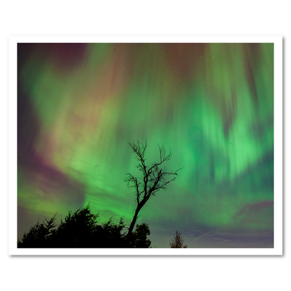 Northern Lights 2024 Fine Art Print