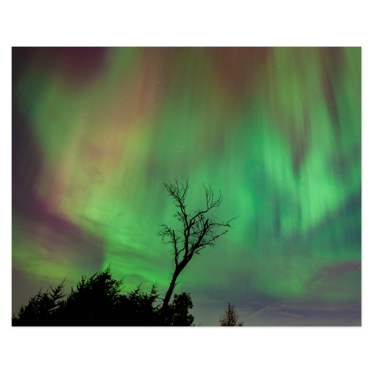 Aurora - The Gannon Storm, No. 2 Photo Print, mounted Fuji Lustre, printed edge to edge