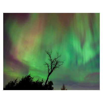Northern Lights 2024 #2