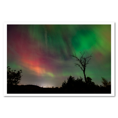 Northern Lights 2024 Fine Art Print