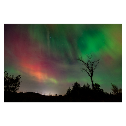 Northern Lights 2024 Photo Print