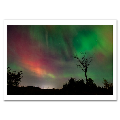 Northern Lights 2024 - Mini Bundle