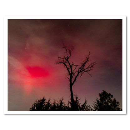 Northern Lights 2024 Fine Art Print