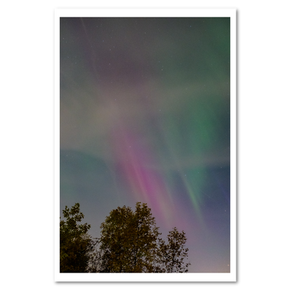 Northern Lights 2024 Fine Art Print