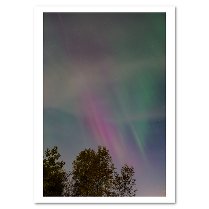 Northern Lights 2024 - Mini Bundle