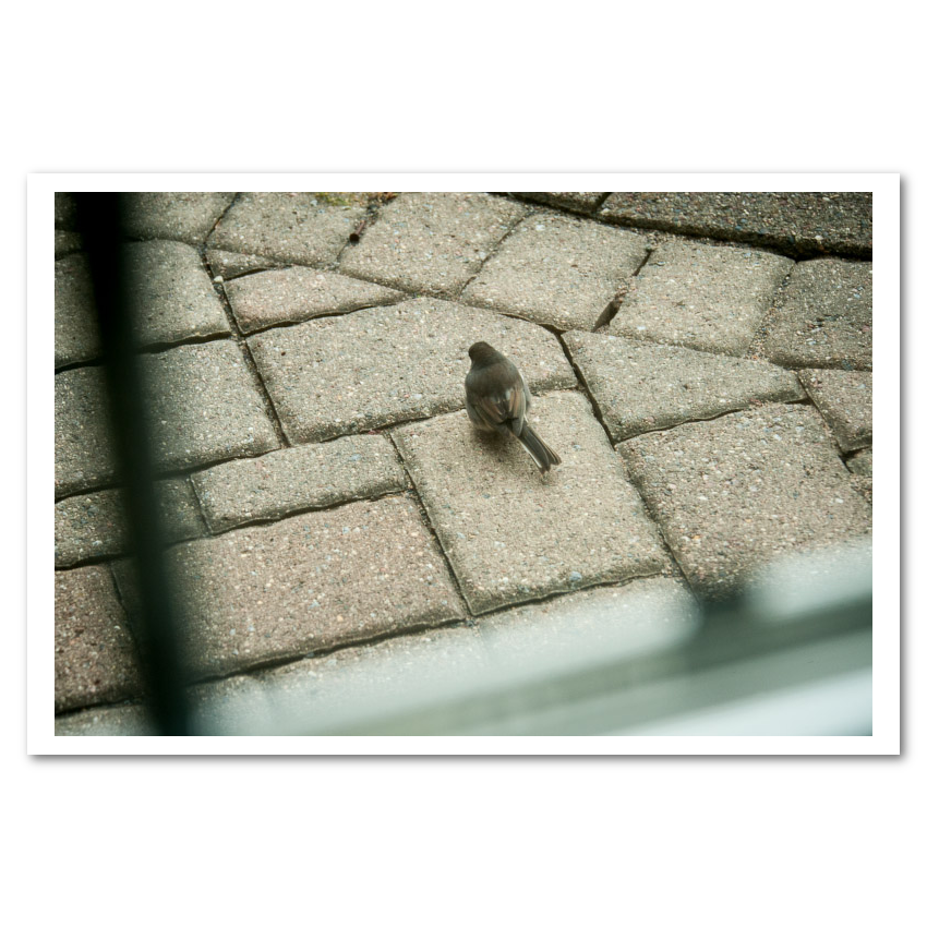 Grid Search fine art photograph