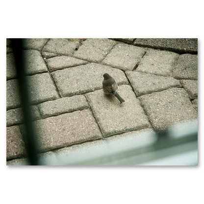 Grid Search Metal Print, float-mounted, printed edge to edge