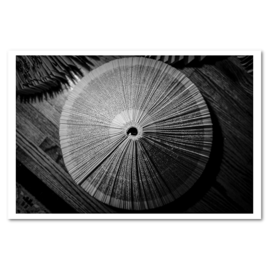 Second Read fine art photograph