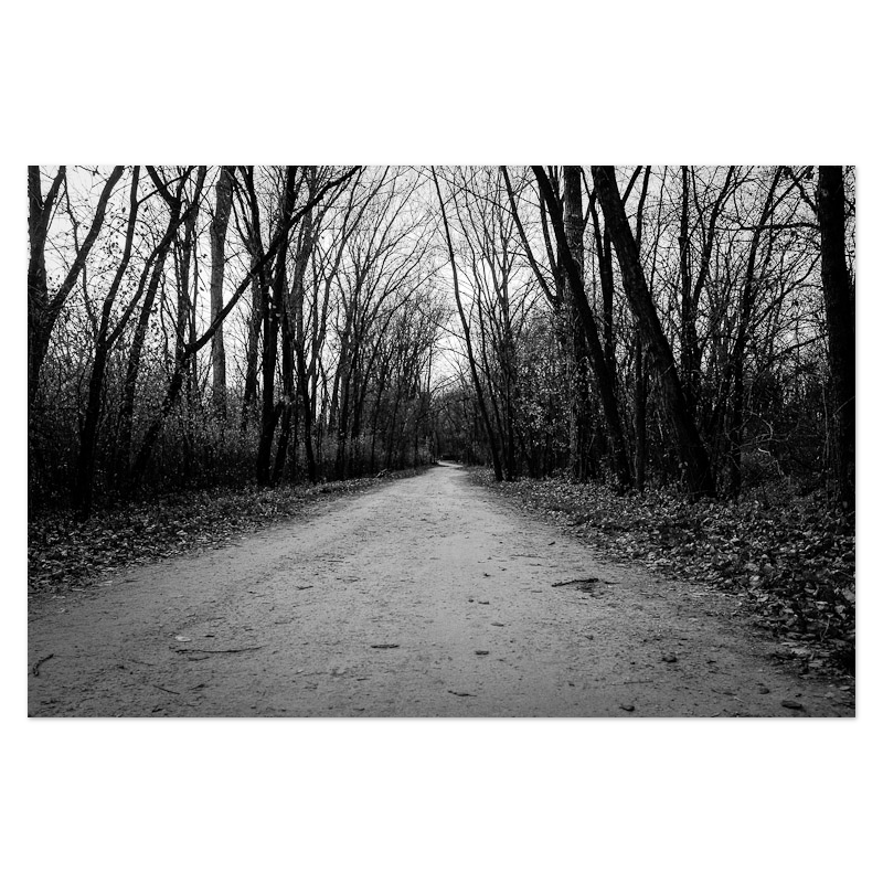 Passing Through Photo Print, mounted Fuji Lustre, printed edge to edge