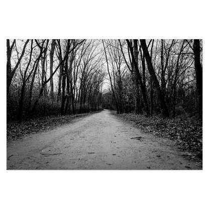 Passing Through Photo Print, mounted Fuji Lustre, printed edge to edge