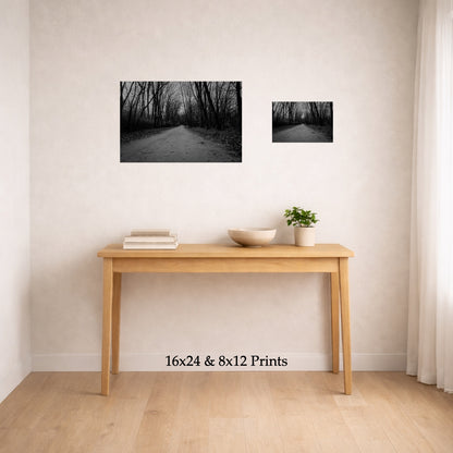Passing Through at 16x24 and 8x12 on a wall above a console table, shown to scale