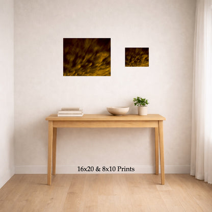 Gold Rush at 16x20 and 8x10 on a wall above a console table, shown to scale