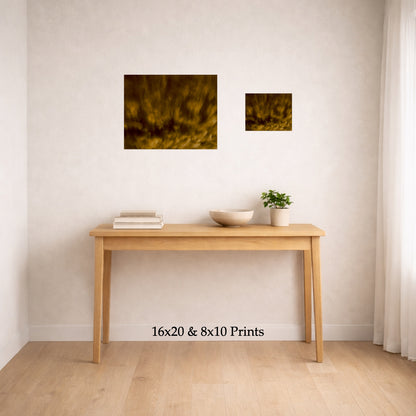 Panning For Gold at 16x20 and 8x10 on a wall above a console table, shown to scale