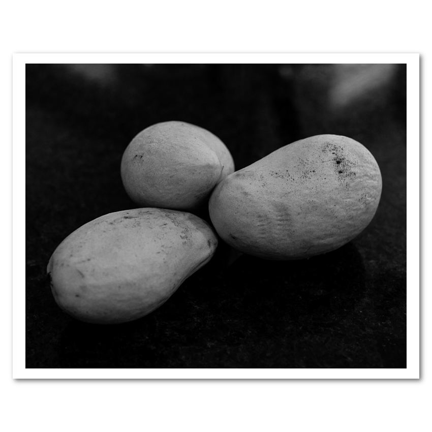 Starch Contrast fine art photograph