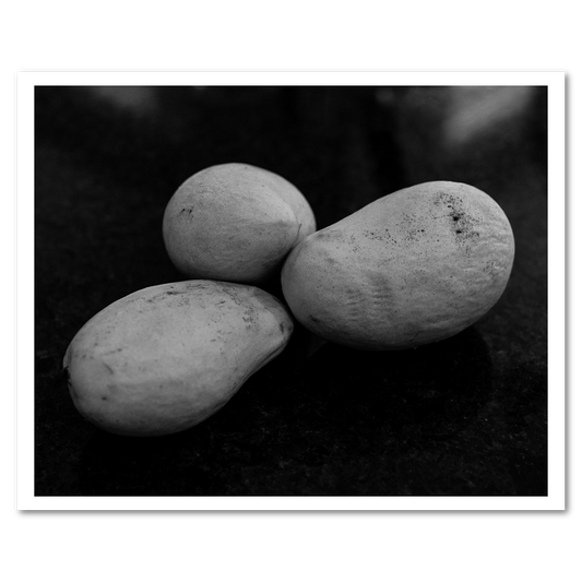 Starch Contrast fine art photograph