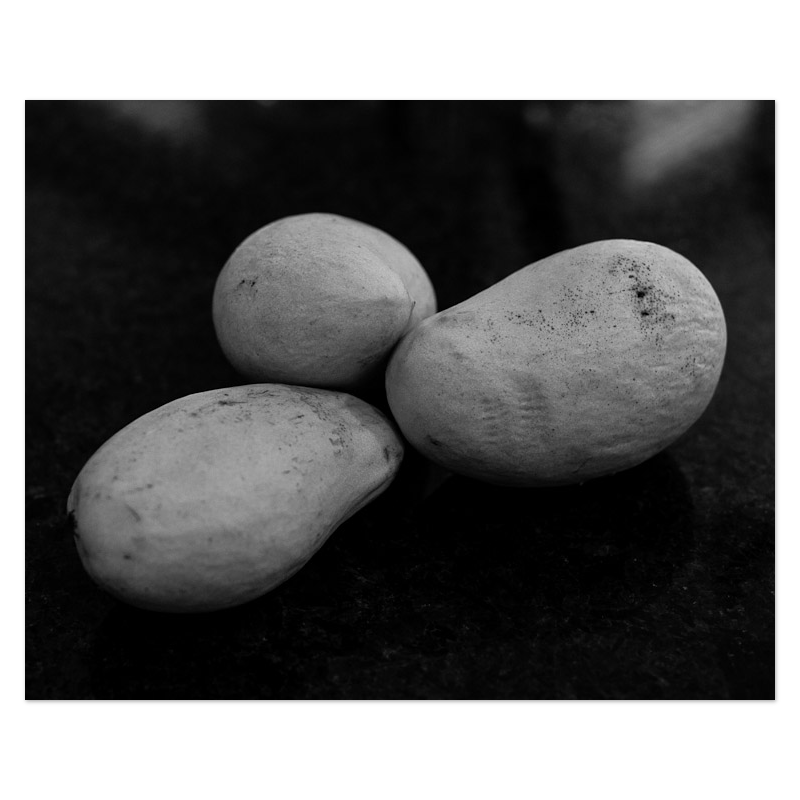 Starch Contrast Photo Print, mounted Fuji Lustre, printed edge to edge