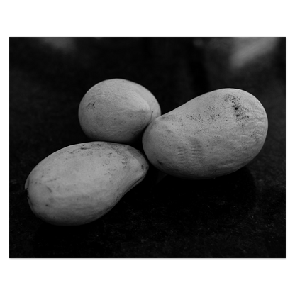 Starch Contrast Photo Print, mounted Fuji Lustre, printed edge to edge
