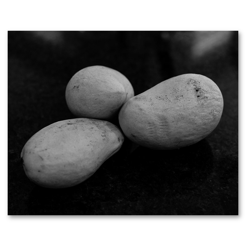 Starch Contrast Metal Print, float-mounted, printed edge to edge