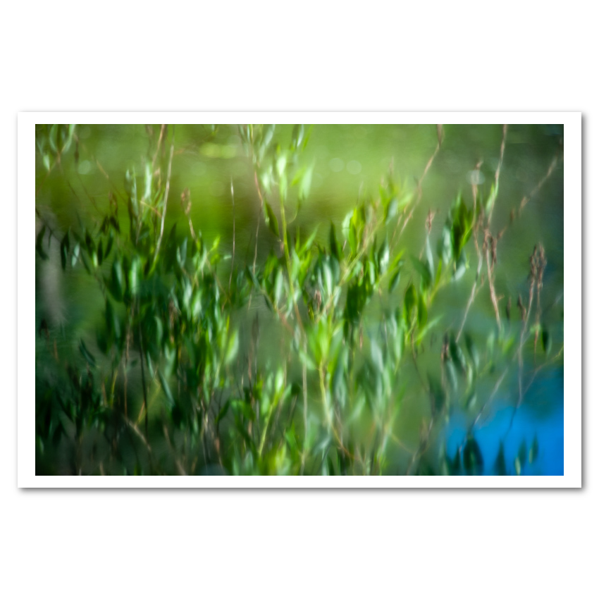 Watercolored fine art photograph