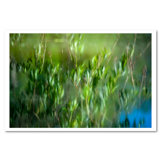 Watercolored fine art photograph