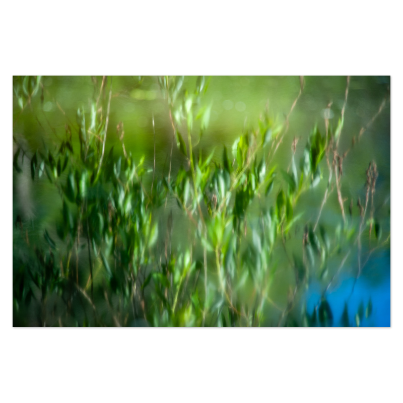 Watercolored Photo Print, mounted Fuji Lustre, printed edge to edge