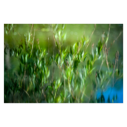 Watercolored Photo Print, mounted Fuji Lustre, printed edge to edge