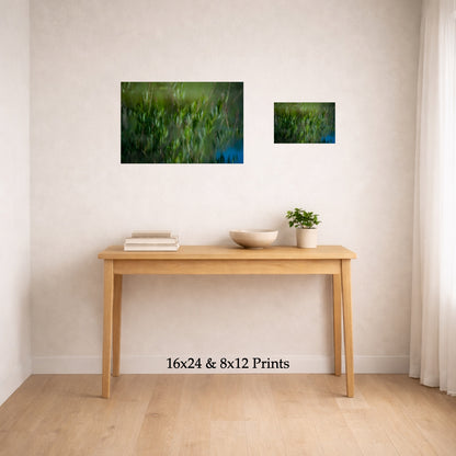 Watercolored at 16x24 and 8x12 on a wall above a console table, shown to scale