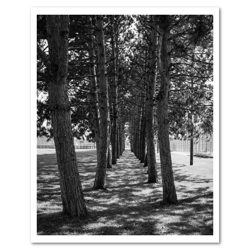 Rank And File fine art photograph