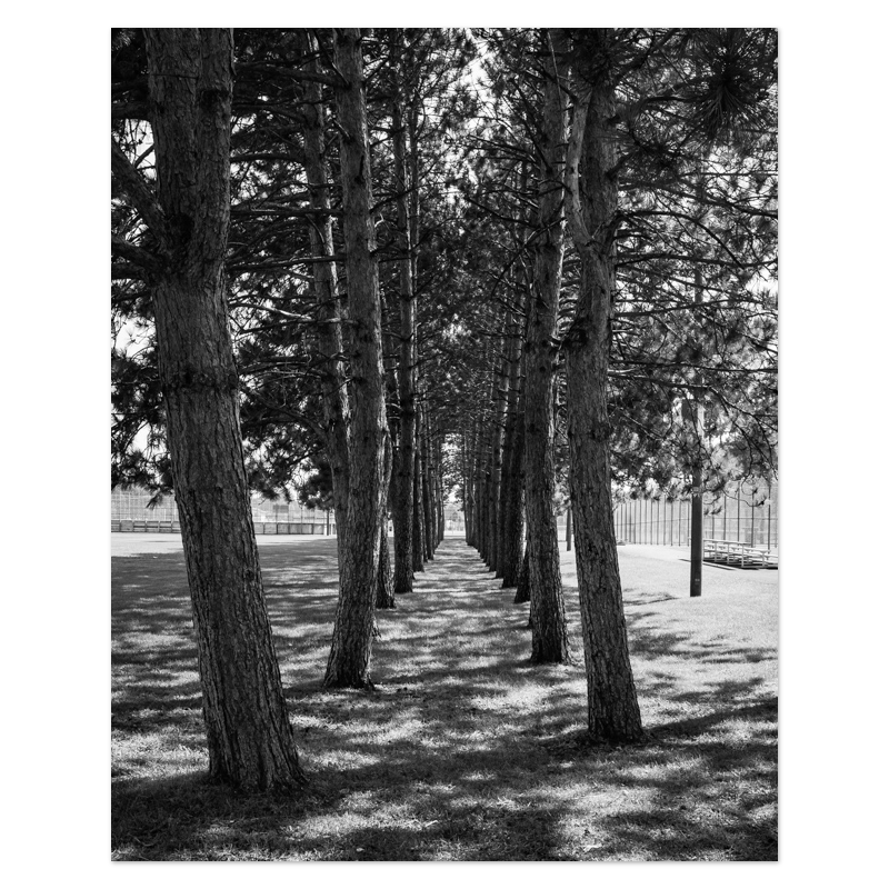 Rank And File Photo Print, mounted Fuji Lustre, printed edge to edge