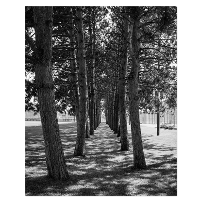 Rank And File Photo Print, mounted Fuji Lustre, printed edge to edge
