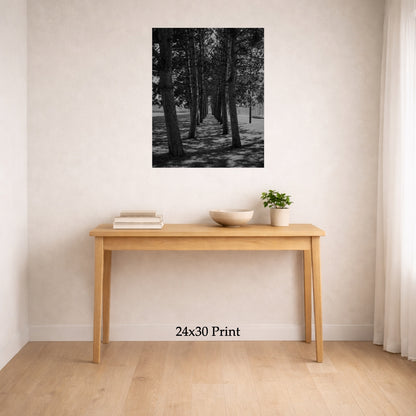 Rank And File as a 24x30 print on a wall above a console table, shown to scale