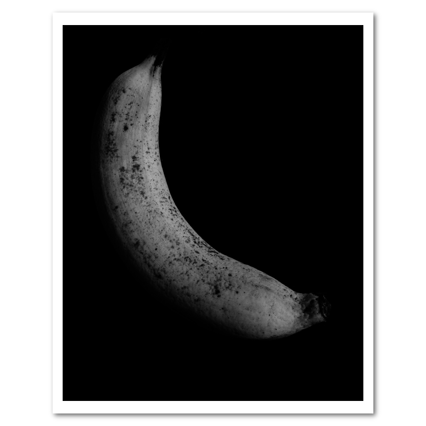Spotted fine art photograph